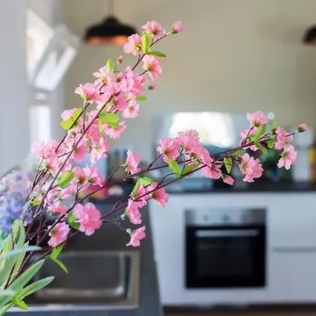 Nova Casa de Férias Begur