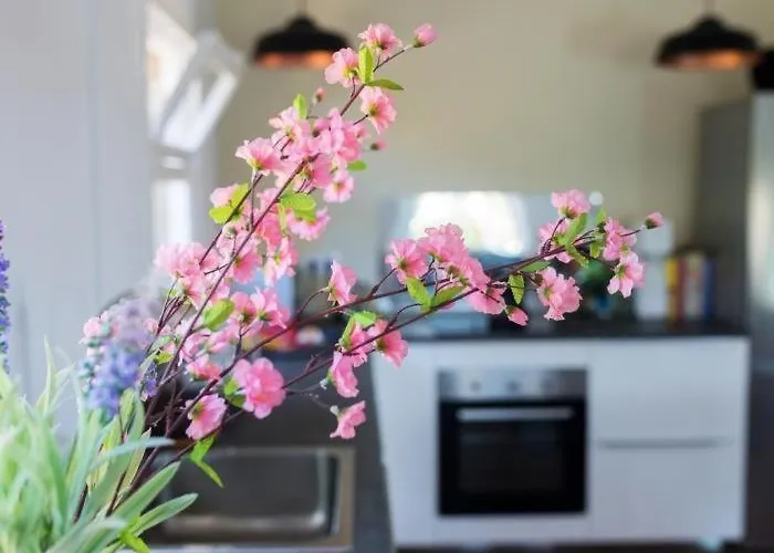 Nova 別荘 ベグール